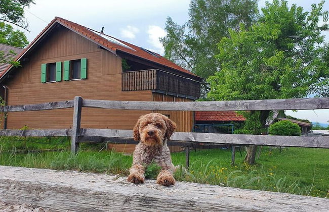 Guesthouse la Molière - Foto 41