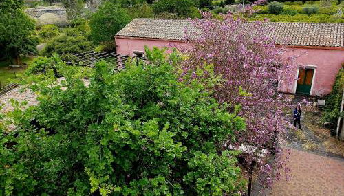Codavolpe Giardino di Tea - Foto 3