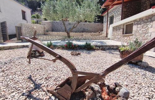 Lilea Elia & Petra - Foto 5