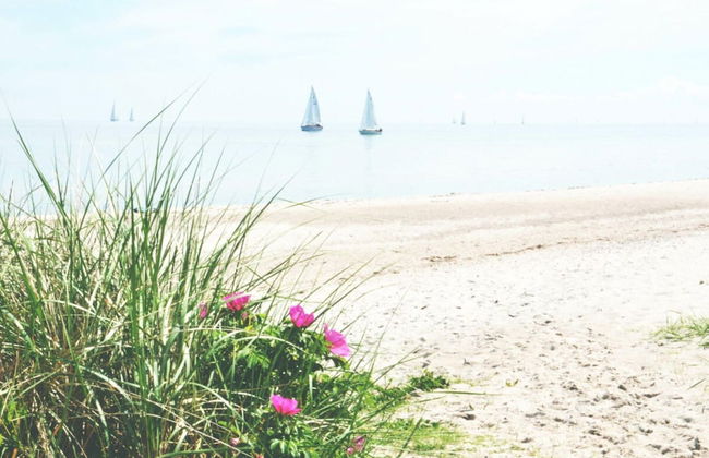 Cathedral day "key West" - Foto 17