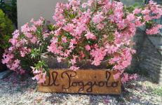 Il Poggiolo - Foto 37