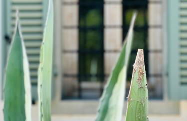 Villa Monteleone - Foto 14