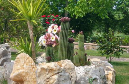 Borgo Patierno Agristor Country House - Foto 67