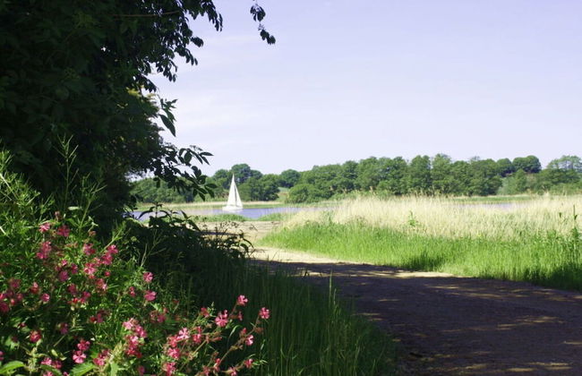 Luxury Holiday House "schleibrise" - Foto 17