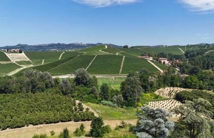 Casa di Chica - Foto 18