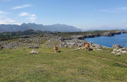 Apartamentos Rurales El Acebo - Foto 40