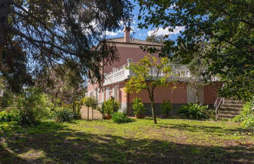 Villa Agostina - Photo 16