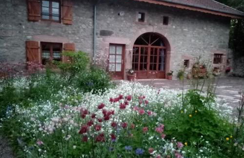 Gîte du Champ du Bois : Confort au cœur des Vosges - FR-1-589-820 - Foto 14