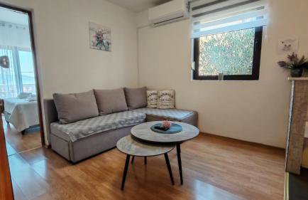 ĆOSIĆ APARTMANI IGRANE - Foto 18