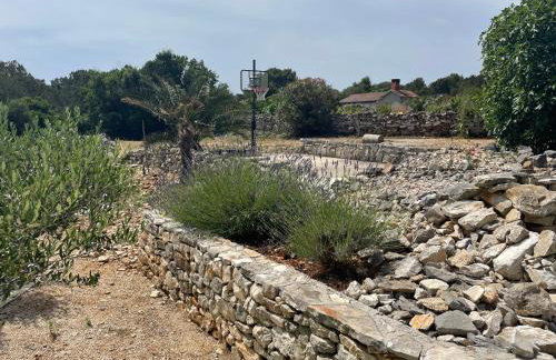 Sakarun House - Ivana - Photo 66