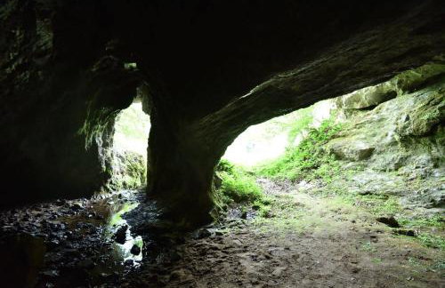 Imanje Jelaš - Foto 40