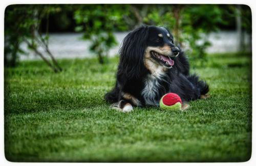 Apartament Hortensjowy Zakątek - Foto 56