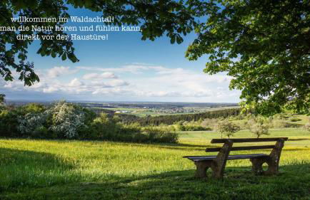 TheWoodenStack - Foto 25