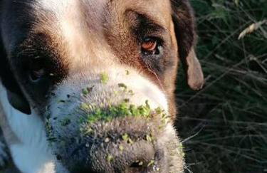 Wyciszek - mazurska agroturystyka - Foto 32