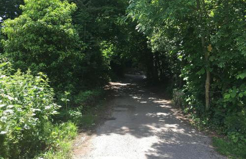 Oak Barn - Fernhill Farm - Foto 14