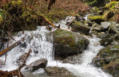 Secluded Forest Cabin with Hot Tub and Private Waterfall - Foto 47