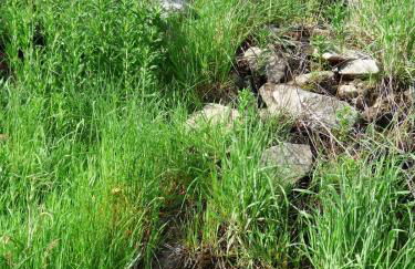 Chez Sylvie La Brousse Mont Lozère - Foto 11