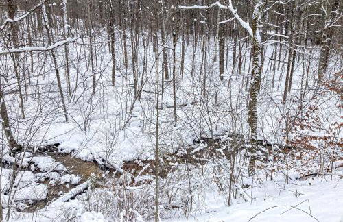 Timberbrook - Foto 26