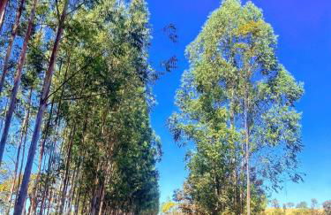 Refugio Moderno com Piscina Quente e Por do Sol - Foto 32