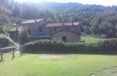 Le Chianine dei Tognoli - Foto 19