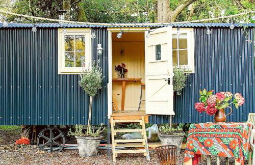 The Beech Hut - Photo 1