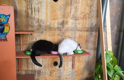 CasAmor - Romantic Ocean View Studio - Foto 9