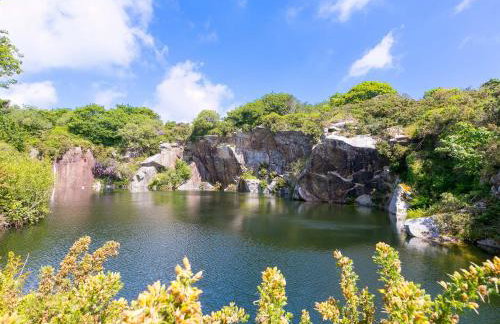 Mellydonen Beder Del Melly, Tor Down Quarry - Foto 3