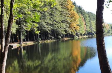 La clef des bois - cosy et calme au coeur de la nature - Foto 23