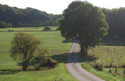 Alte Schule Gästehaus - The principal's rooms Appartment - Foto 8