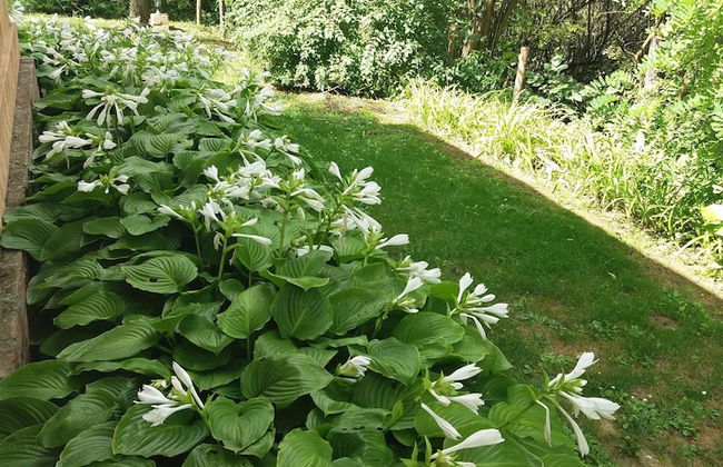 Mikin dol Baranja Country House - Foto 20