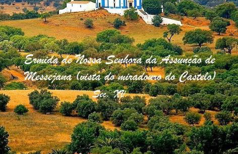 Praia de Messejana - Foto 41