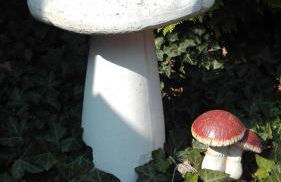 Ferienwohnungen Paul und Dorothea - Foto 51