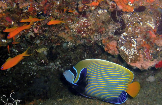 Casa Karibu at Santa Maria Machangulo Mozambique - Photo 24