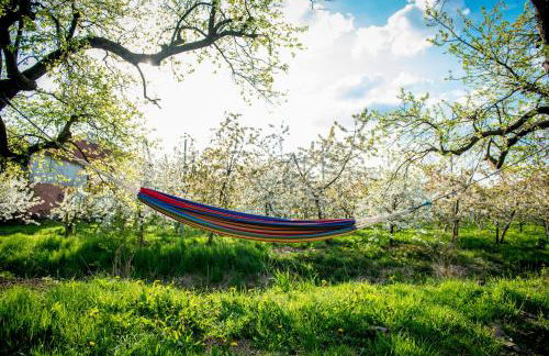 Deichkrönchen Ferienwohnung Altes Land Hamburg - Foto 19