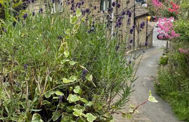 The Therapy Rooms Holmfirth Holiday Let - Foto 11