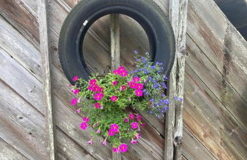 Historic cabin off I-77, views, antiques, Wi-fi, wonderful experience for 2! - Foto 49