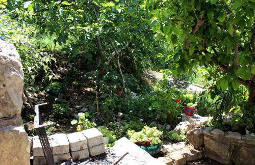 House Zrno - Foto 20