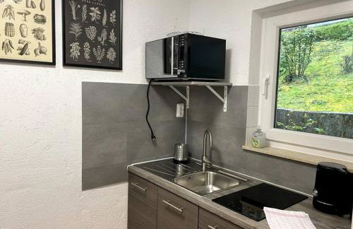 1-Zimmerapartment mit Burgblick - Foto 17