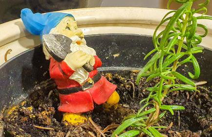 Apartamenty pod zaglami Teresa Strzemkowska - Foto 14