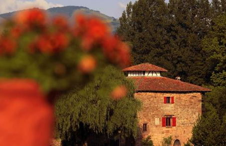 Pedroenea Apartamento Elizondo - Foto 51