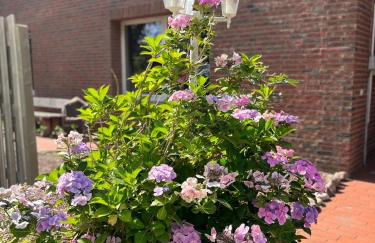 Deich Winde 9.2 - Foto 13