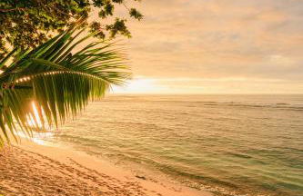 The Emerald House II apts - Foto 31