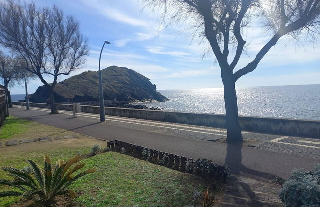 Cantinho do Ilhéu - Foto 51