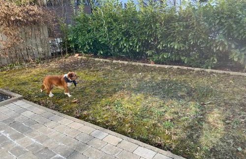 AAM Ferienwohnung 75qm Saarlouis citynah PP WiFi - Foto 21