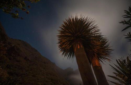 Sweet Home Masca - Foto 35