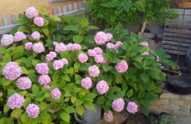 Omas Schmuckkästle - Foto 39