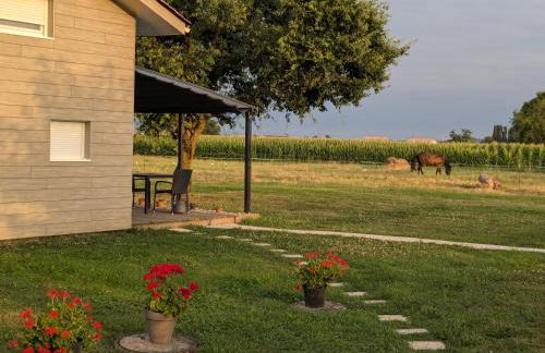 Le Petit chalet - 2 étoiles au classement tourisme - Foto 15