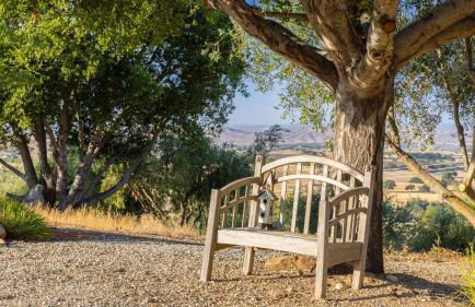 4.5 Acre Secluded Ranch w Panoramic Views • Fire Pit Olive Ranch by AvantStay - Foto 84