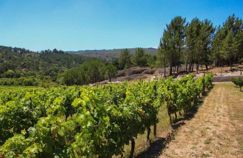 Quinta das Regueiras - Foto 46