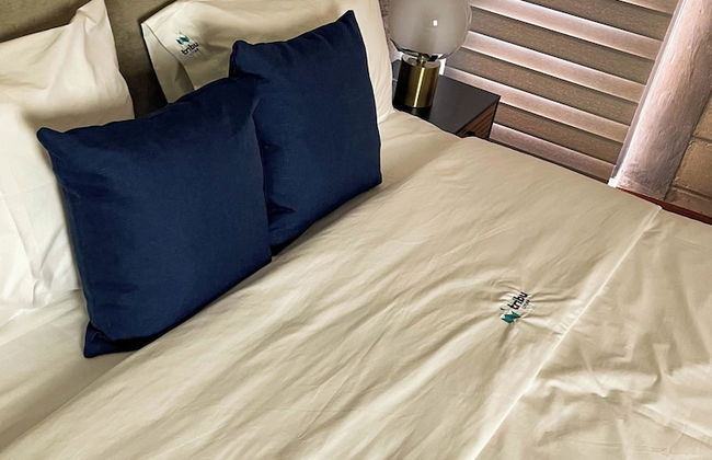 Tribu Centro Histórico - Foto 66